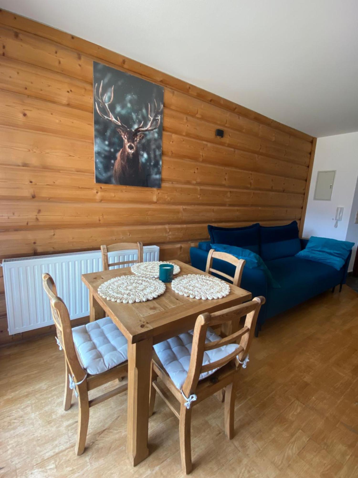 Apartament Zakopane 코스실리스코 외부 사진